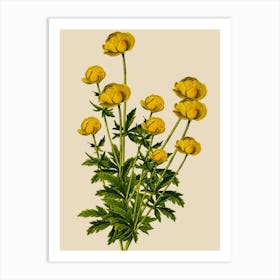 Yellow Poppy Art Print