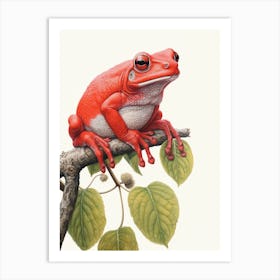Red Tree Frog Realistic 3 Art Print