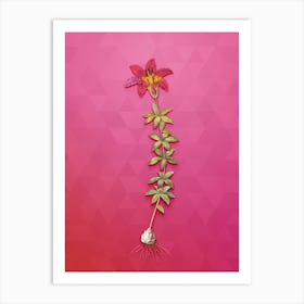 Vintage Wood Lily Botanical Art on Beetroot Purple n.0752 Art Print