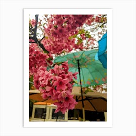 Japanese Sakura Travel art Oriental Art Art Print