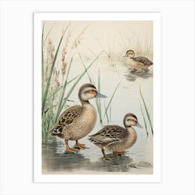 Ducklings In The Water Japanese Woodblock Art Print