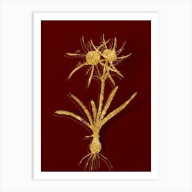 Vintage Streambank Spiderlily Botanical in Gold on Red n.0457 Art Print