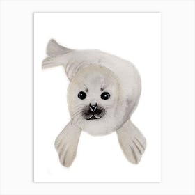 Harp Seal Pup Art Print