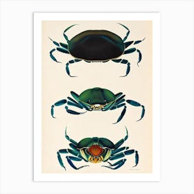 Blue Crab Vintage Poster Art Print