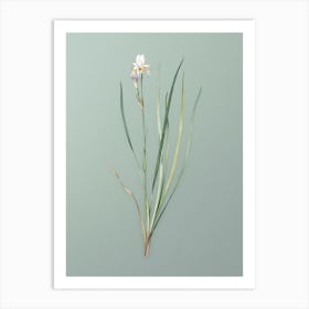 Vintage Siberian Iris Botanical Art on Mint Green Art Print