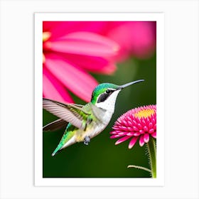 Female Ruby Throated Hummingbird -Reimagined 6 Art Print