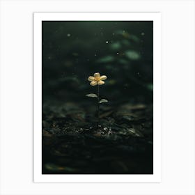 Flower In The Dark 34 Art Print