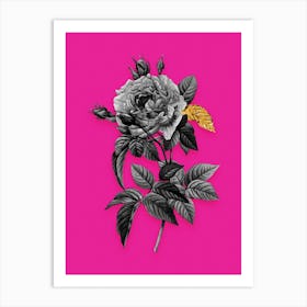 Vintage Pink French Rose Black and White Gold Leaf Floral Art on Hot Pink n.0023 Art Print