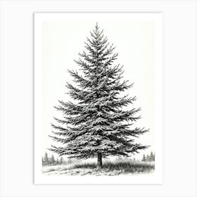 Fir Tree Pencil Sketch Ultra Detailed 8 Art Print