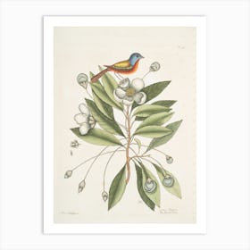 Bird On A Flower Art Print