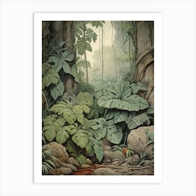 Vintage Jungle Botanical Illustration Philodendron 1 Art Print