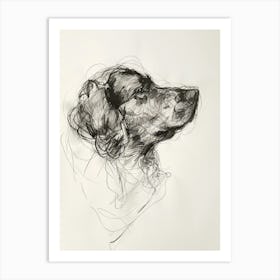 Newfoundland Dog Charcoal Line 4 Art Print