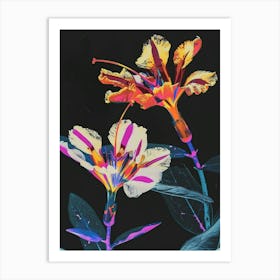 Neon Flowers On Black Portulaca 3 Art Print