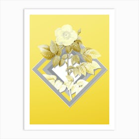 Botanical Leschenault's Rose in Gray and Yellow Gradient n.032 Art Print