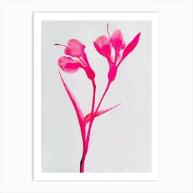 Hot Pink Heliconia 1 Art Print