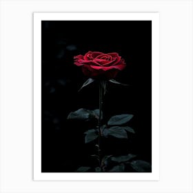 Dark Rose 58 Art Print