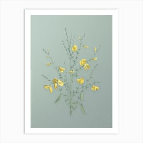 Vintage Yellow Broom Flowers Botanical Art on Mint Green n.0552 Art Print