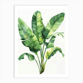 Banana Leaves 34 Art Print