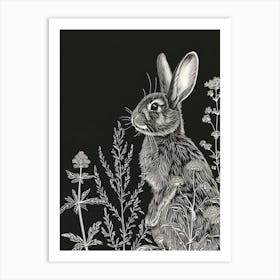 Britannia Petite Rabbit Minimalist Illustration 2 Art Print