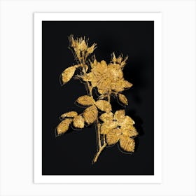 Vintage Autumn Damask Rose Botanical in Gold on Black n.0218 Art Print