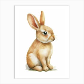 Britannia Petite Rabbit Kids Illustration 4 Art Print