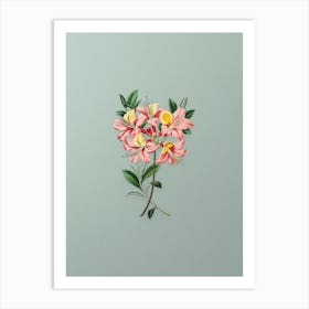 Vintage Changeable Pontic Azalea Botanical Art on Mint Green n.0331 Art Print