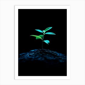 Small Green Plant On Black Background 13 Art Print