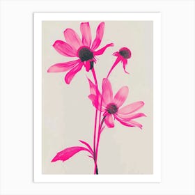 Hot Pink Black Eyed Susan Art Print