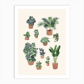 Plants Collection 5 Art Print