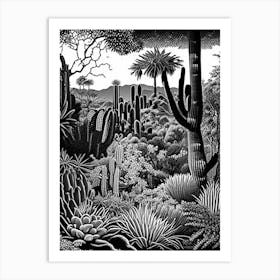 Desert Botanical Garden, 1, Usa Linocut Black And White Vintage Art Print