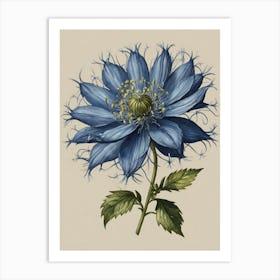 Blue Clematis Art Print