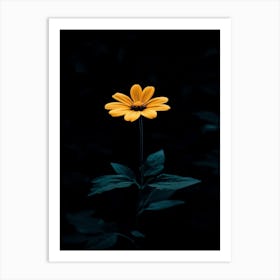 Single Yellow Flower 20 Art Print