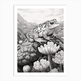 Desert Wave Toad 1 Art Print