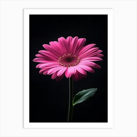 Pink Gerbera Flower 2 Art Print