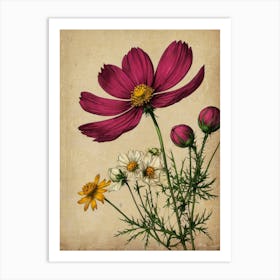 Cosmos Art Print