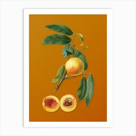 Vintage Peach Botanical on Sunset Orange n.0056 Art Print