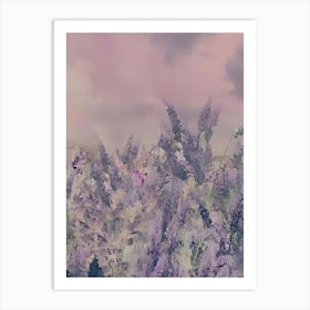 Lavender Field 2 Art Print