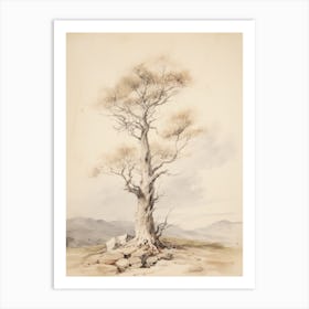 Tree Study Drawing Art Print