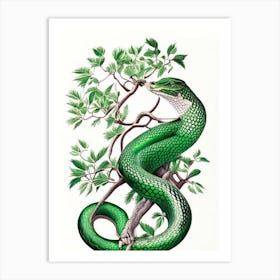 Emerald Tree Boa 1 Vintage Art Print