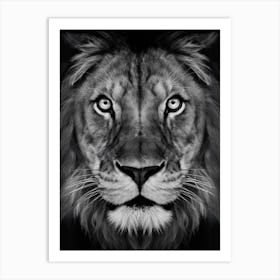 Lion Face Art Print