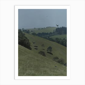 Crows On A Hill Art Print