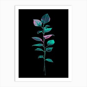 Leaf On A Black Background 1 Art Print