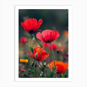 Red Poppies Art Print