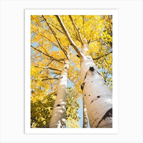 Aspen Tree Yellow Leaves Art Print