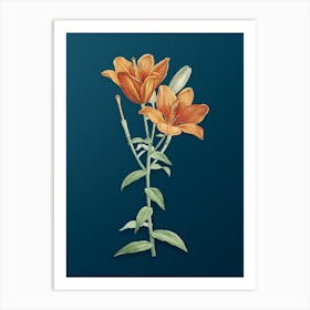 Vintage Orange Bulbous Lily Botanical Art on Teal Blue n.0293 Art Print