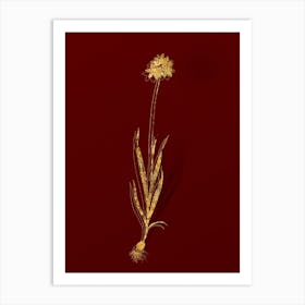 Vintage Orange Ixia Botanical in Gold on Red Art Print