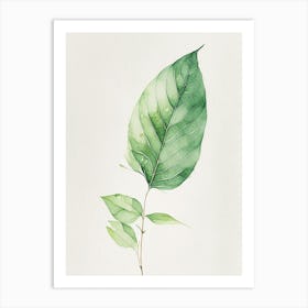 Tulsi Leaf Minimalist Watercolour 2 Art Print