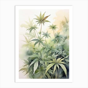 Marijuana Plants 1 Art Print