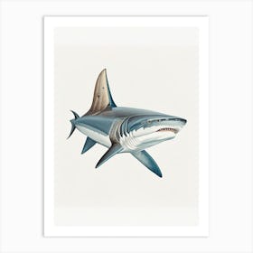 Porbeagle Shark 2 Vintage Art Print