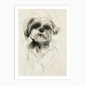 Maltese Dog Charcoal Line 3 Art Print